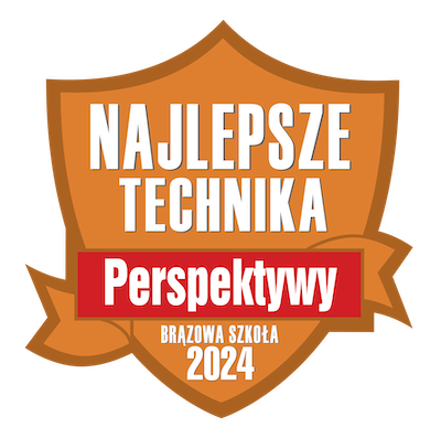 brązowa tarcza przeglądu perspektywy 2024